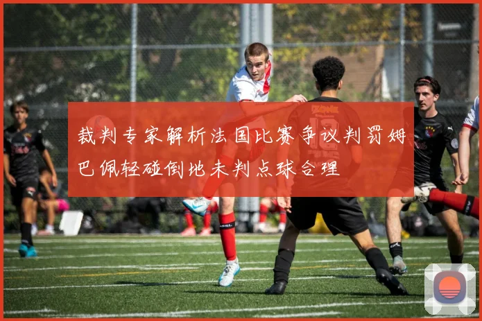 裁判专家解析法国比赛争议判罚姆巴佩轻碰倒地未判点球合理